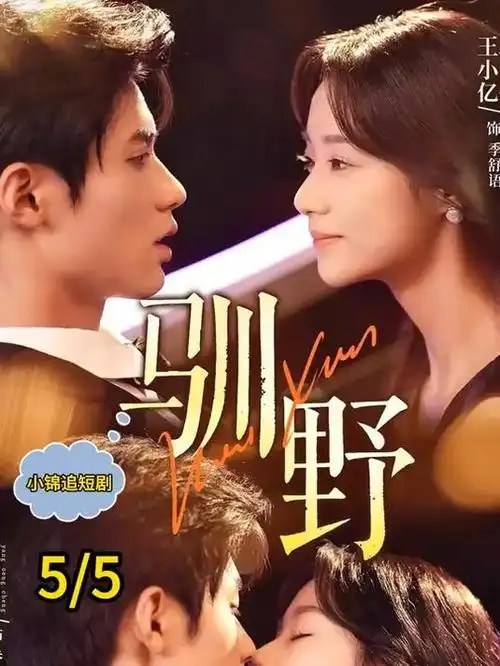 漫长的季节 画廊画面